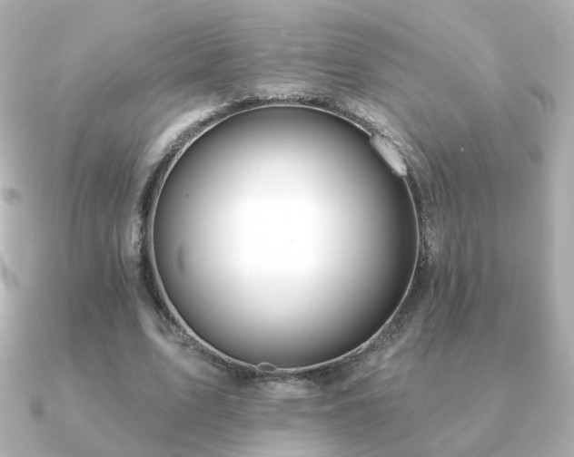X0000091190583200708091251