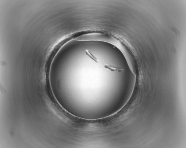 X0000091190584200708091251