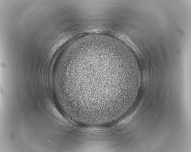 X0000091190585200708091251