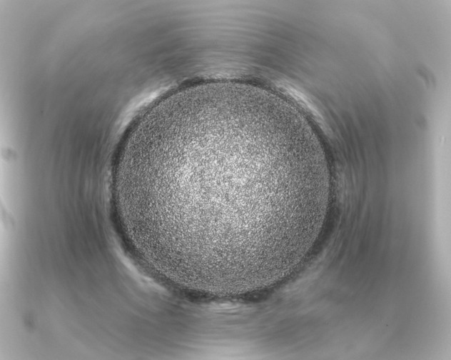 X0000091190586200708091251