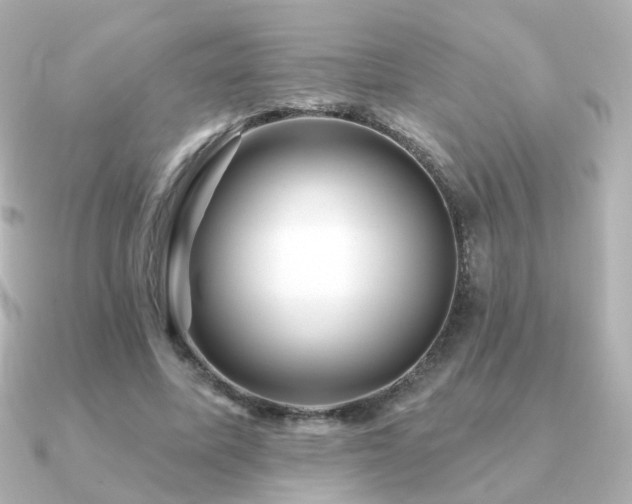 X0000091190587200708091251