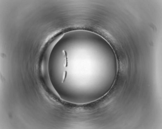 X0000091190588200708091251