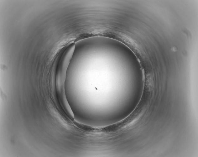 X0000091190589200708091251