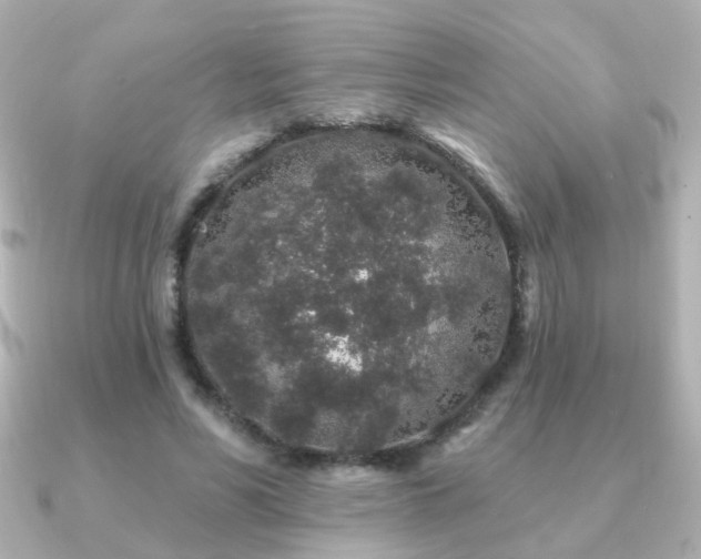 X0000091190590200708091251