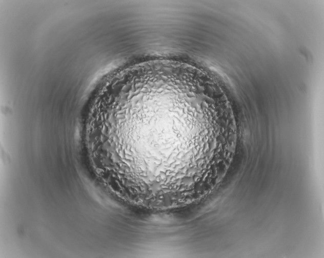 X0000091190591200708091251