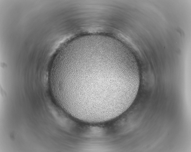 X0000091190592200708091251