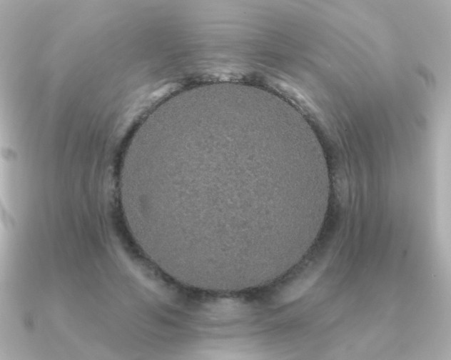 X0000091190594200708091251