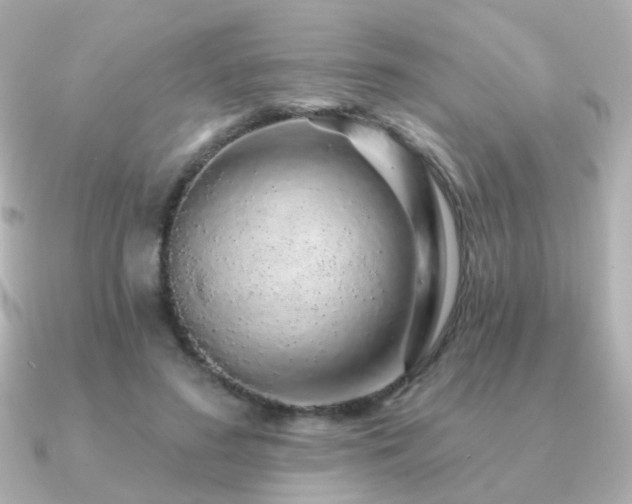 X0000091190596200708091251