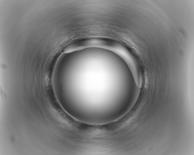 X0000091190597200708091251