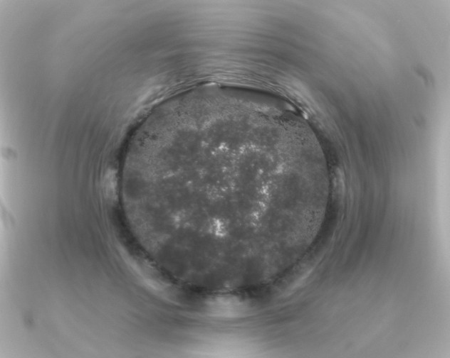 X0000091190598200708091251