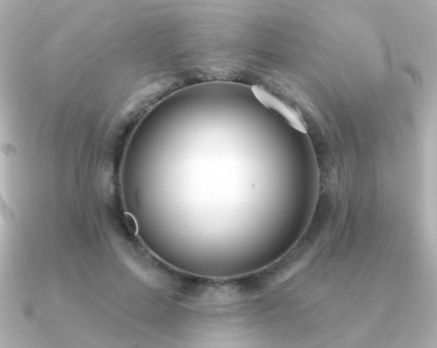 X0000091190599200708091251