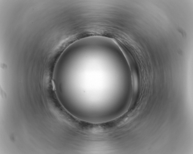 X0000091190600200708091251
