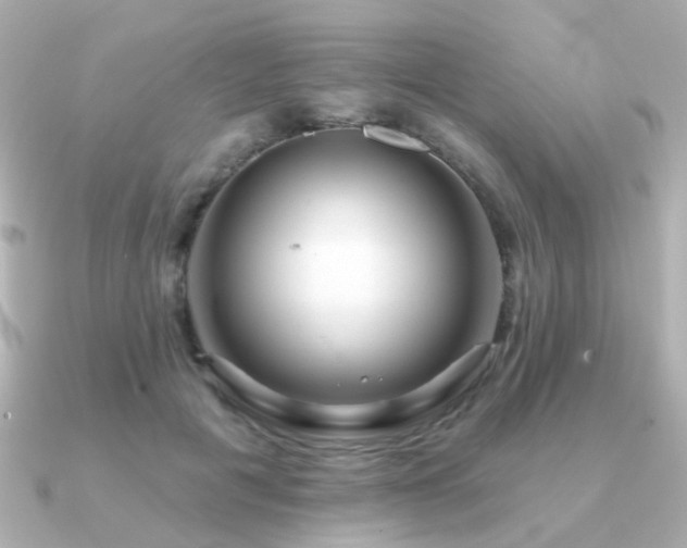 X0000091190601200708091250