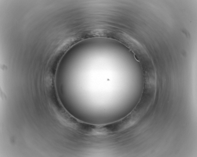 X0000091190603200708091250