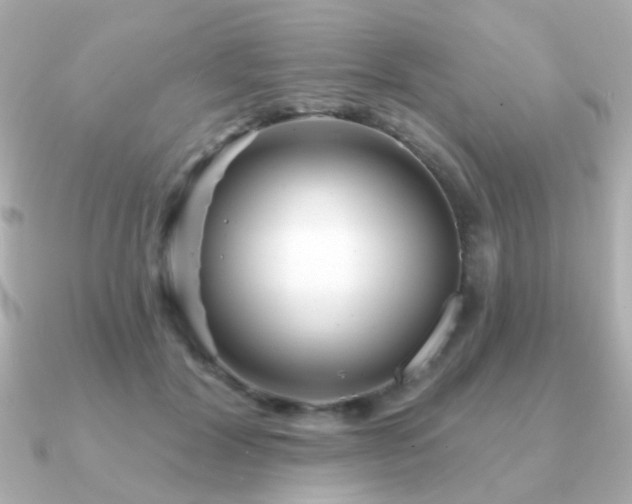 X0000091190604200708091250