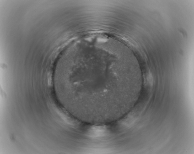 X0000091190606200708091250