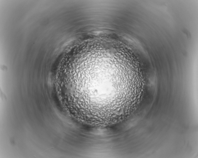 X0000091190607200708091250