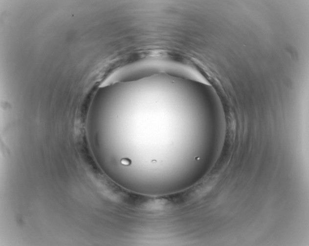X0000091190609200708091250