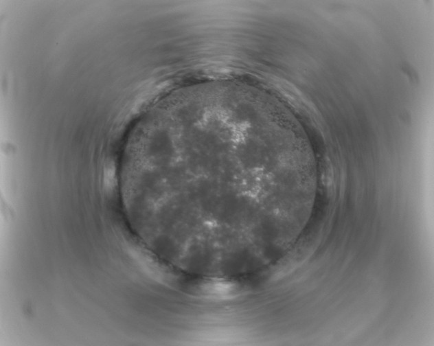 X0000091190610200708091250