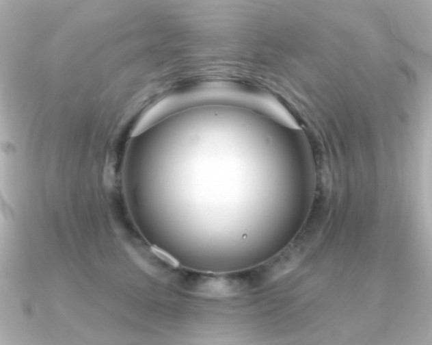 X0000091190611200708091250