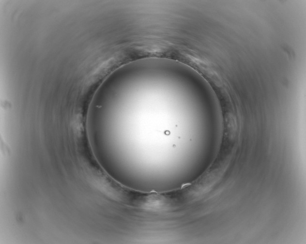 X0000091190612200708091250