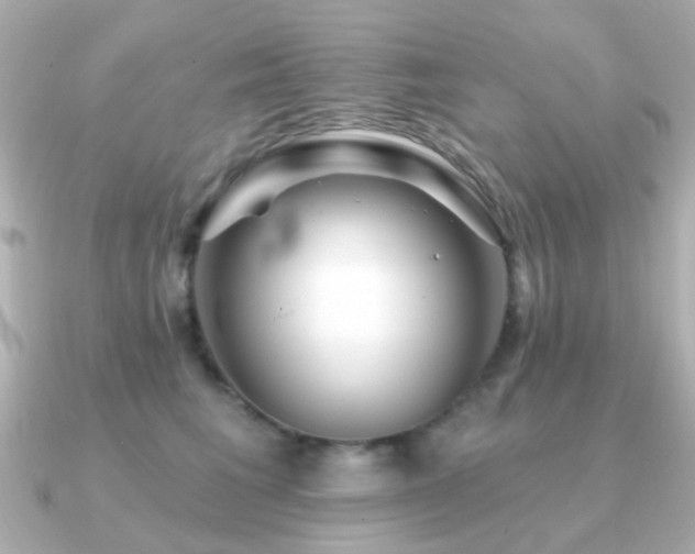 X0000091190613200708091250