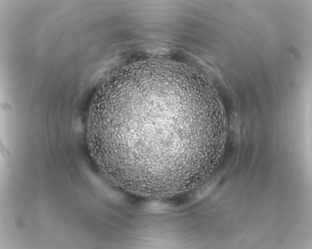 X0000091190614200708091250
