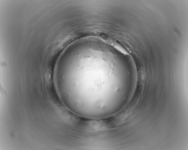 X0000091190615200708091250