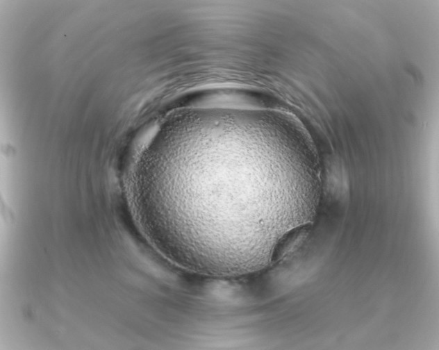 X0000091190616200708091250