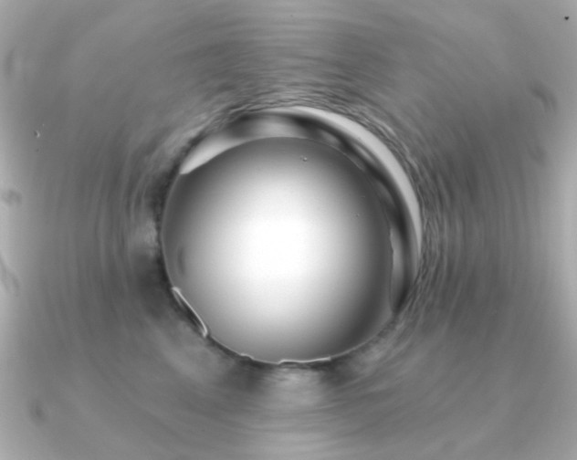 X0000091190617200708091250