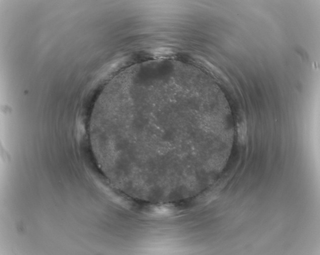 X0000091190618200708091250