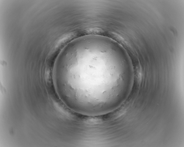 X0000091190619200708091250