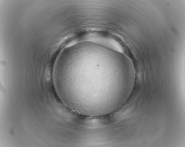 X0000091190620200708091250