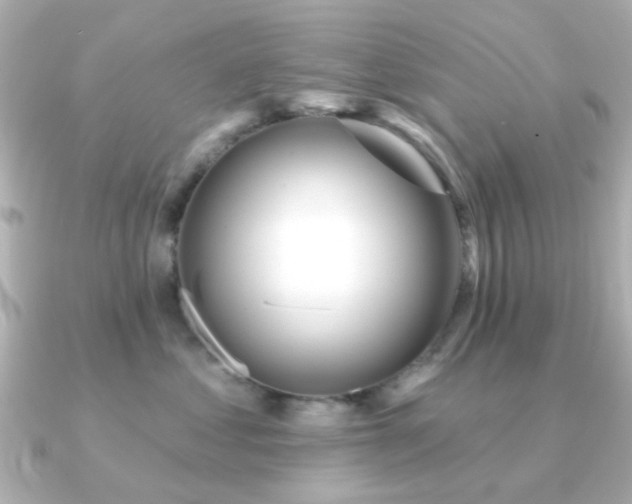 X0000091190621200708091250