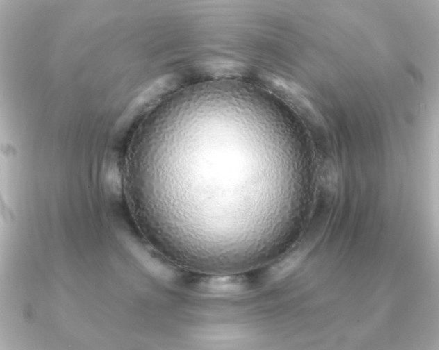 X0000091190622200708091250