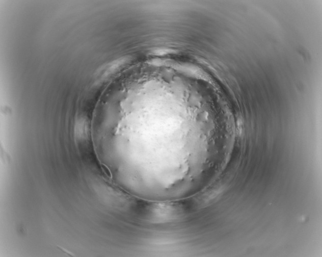 X0000091190623200708091250