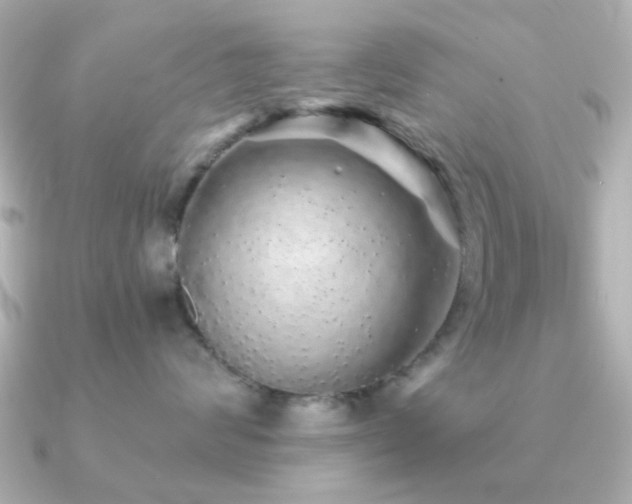 X0000091190624200708091250