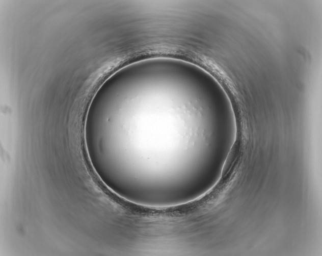 X0000091190625200708091250