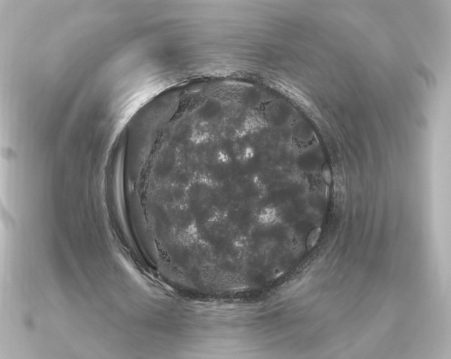 X0000091190626200708091250