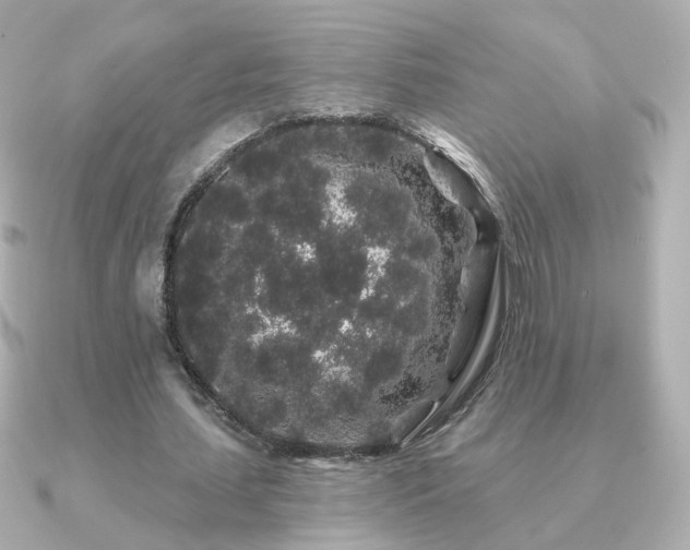 X0000091190627200708091250