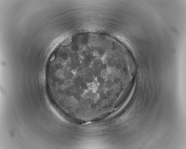 X0000091190630200708091250