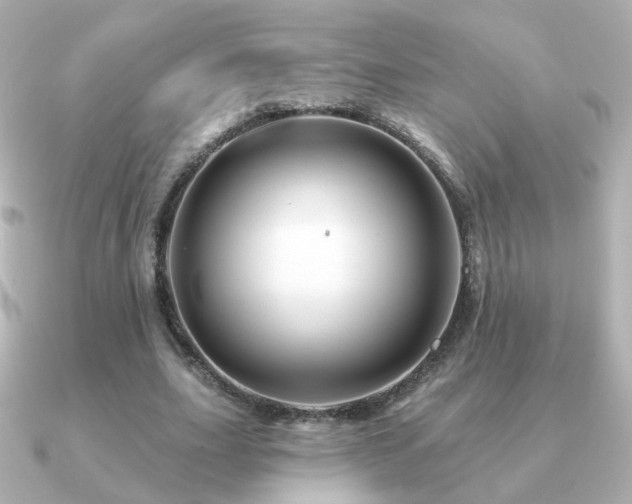 X0000091190631200708091250