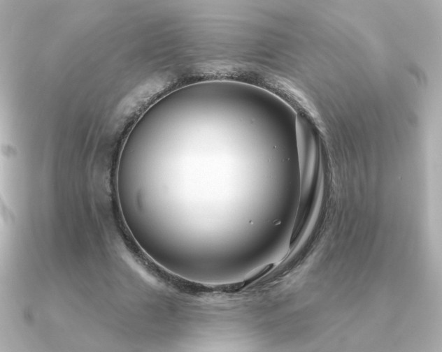 X0000091190633200708091250