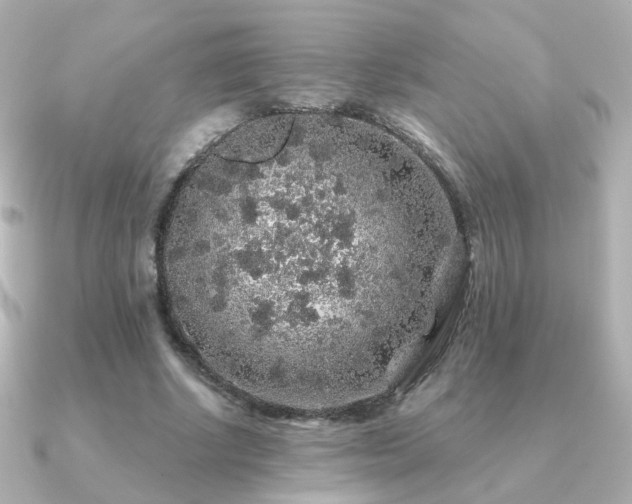 X0000091190634200708091250