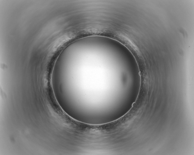 X0000091190635200708091250