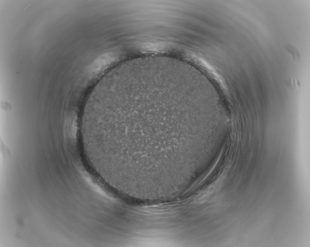 X0000091190637200708091250