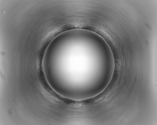 X0000091190639200708091250