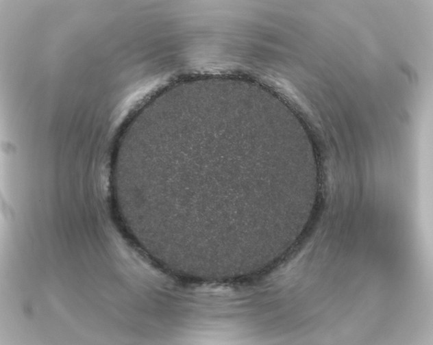 X0000091190640200708091250