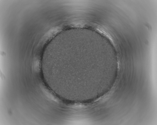 X0000091190641200708091250