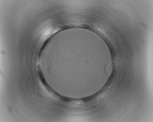 X0000091190642200708091250